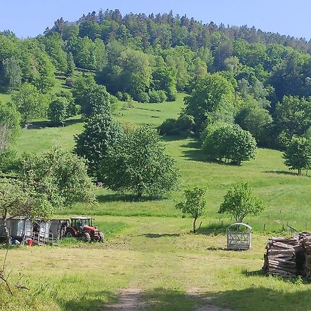 Les Studios Du Frankenthal Stosswihr المظهر الخارجي الصورة